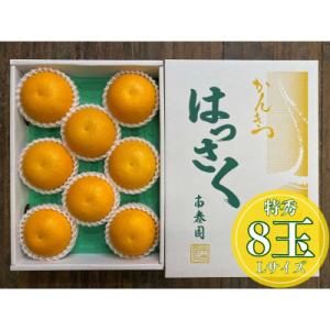 ふるさと納税 有田川町 手詰め有田はっさくL×8玉入　和歌山県有田川町産