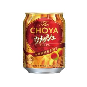 ふるさと納税 上富田町 The CHOYAウメッシュ 250ml×48本