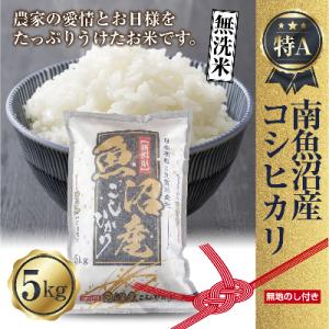 ふるさと納税 南魚沼市 【無地熨斗】無洗米 新潟...の商品画像