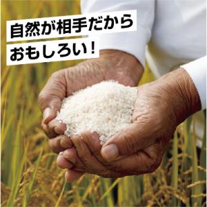 ふるさと納税 南魚沼市 【無地熨斗】無洗米 新...の詳細画像3