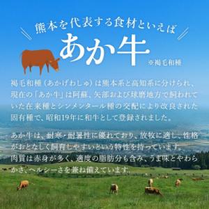 ふるさと納税 小国町 熊本県産あか牛 和牛10...の詳細画像3