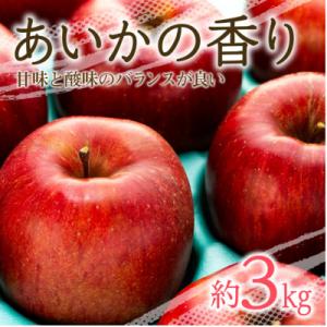 ふるさと納税 箕輪町 2025年!甘い!幻のりんご【あいかの香り】約3kg 信州のりんご