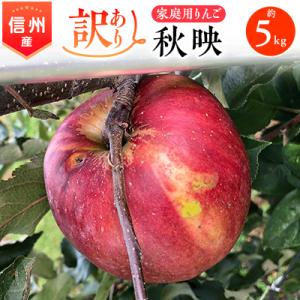 ふるさと納税 南箕輪村 2025年!信州のりんご【秋映】訳あり 約5kg 家庭用