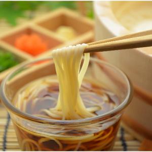 ふるさと納税 安城市 和泉手延べ麺　半生もどし長そうめん・乾ひやむぎ(計19人前)　たつみ麺店(ST...
