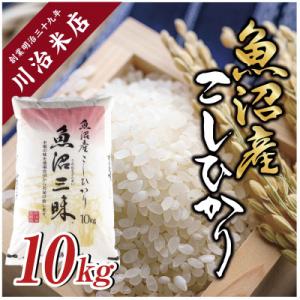 ふるさと納税 十日町市 【令和7年産】魚沼産コシ...の商品画像