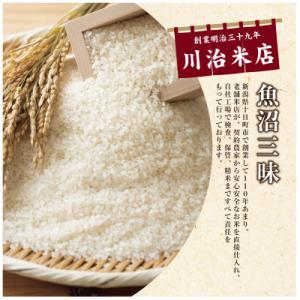 ふるさと納税 十日町市 【令和7年産】魚沼産コ...の詳細画像1