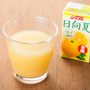 ふるさと納税 川南町 サンA日向夏ジュース100%　125ml×24本セット