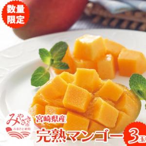 ふるさと納税 宮崎市 【先行受付】フルーツソムリエが選んだ宮崎完熟マンゴー3玉【宮崎市】(R8年4月上旬以降順次発送)