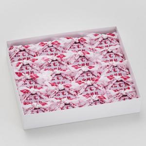 ふるさと納税 北杜市 【金精軒の和菓子】信玄餅...の詳細画像1