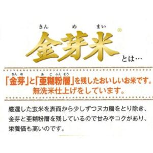 ふるさと納税 安来市 BG無洗米 金芽米きぬむ...の詳細画像1