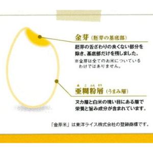 ふるさと納税 安来市 BG無洗米 金芽米きぬむ...の詳細画像2