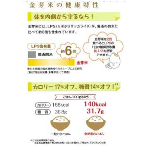 ふるさと納税 安来市 BG無洗米 金芽米きぬむ...の詳細画像3