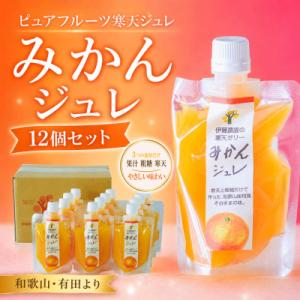 高麗人参と蜂蜜入りアリゾナ緑茶 アリゾナグリーンティーパウダー 10本