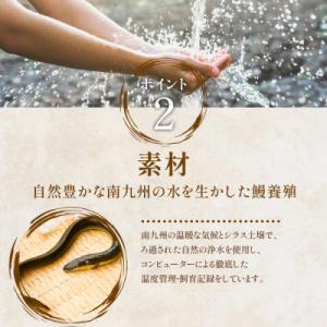 ふるさと納税 指宿市 鹿児島県産うなぎの蒲焼ハ...の詳細画像2