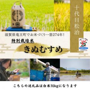 ふるさと納税 竜王町 【令和7年産】特別栽培米きぬむすめ 白米10kg　十代目松治の「縁起の竜王米」