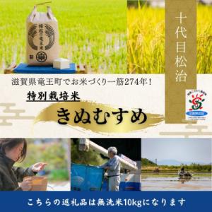 ふるさと納税 竜王町 【令和7年産】特別栽培米きぬむすめ 無洗米10kg　十代目松治の「縁起の竜王米」