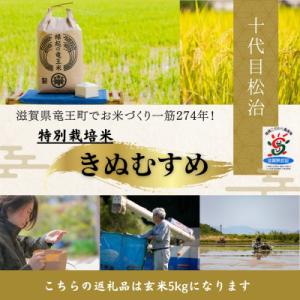 ふるさと納税 竜王町 【令和7年産】特別栽培米きぬむすめ 玄米5kg　十代目松治の「縁起の竜王米」