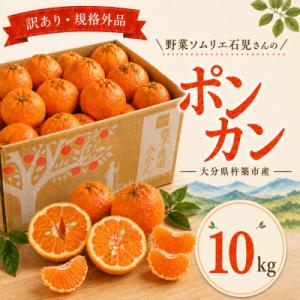 ふるさと納税 杵築市 【訳あり・規格外品】野菜ソムリエが育てた九州・大分県杵築産「ポンカン」10kg(サイズ混合不揃い)