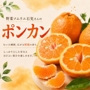 ふるさと納税 杵築市 【訳あり・規格外品】野菜...の詳細画像1
