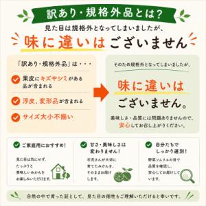 ふるさと納税 杵築市 【訳あり・規格外品】野菜...の詳細画像2