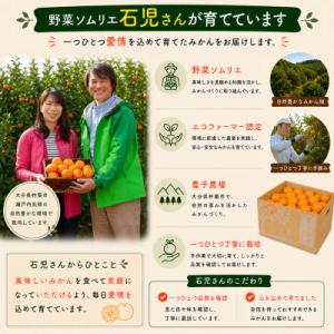 ふるさと納税 杵築市 【訳あり・規格外品】野菜...の詳細画像3