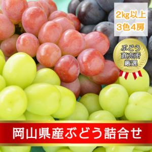 ふるさと納税 井原市 岡山県産ぶどう詰合せ2kg...の商品画像