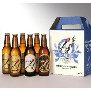 ふるさと納税 能登町 奥能登ビール 3種 330ml 6本 セット　