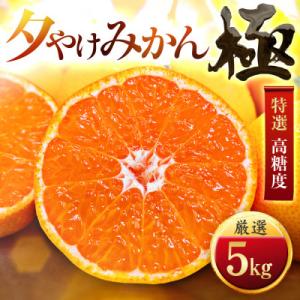 ふるさと納税 八幡浜市 【迷ったらこれ!】甘みが濃縮　夕やけみかん【極】5kg(小玉)　愛媛県産【D49-10】｜Yahoo!ふるさと納税