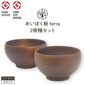 ふるさと納税 小田原市 【ふるさと納税】めいぼく椀テッラ 大　2樹種セット 【 お椀 汁椀 木製 神...