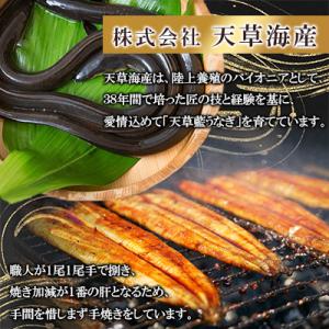 ふるさと納税 宇城市 希少!数量限定!海水育ち...の詳細画像2