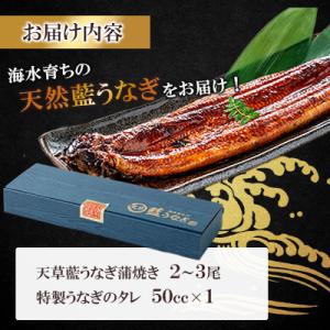ふるさと納税 宇城市 希少!数量限定!海水育ち...の詳細画像3