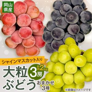 ふるさと納税 津山市 【2026年9月下旬発送】大粒ぶどう3種セット約2kg シャインマスカット ピオーネ クイーンニーナ
