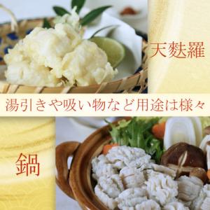 ふるさと納税 杵築市 大分県産活じめ鱧(はも)...の詳細画像3
