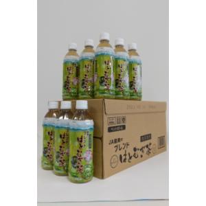 ふるさと納税 能美市 ブレンドはとむぎ茶ペットボトル　500ml×24本