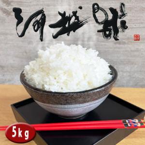 ふるさと納税 川越市 河越米5kg