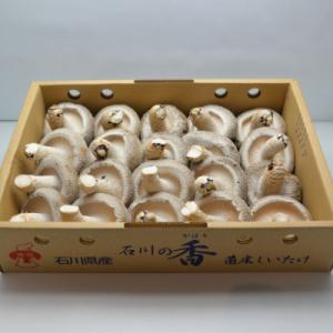 ふるさと納税 能登町 【能登の大自然が育んだ】プリップリの「能登産しいたけ1kg」
