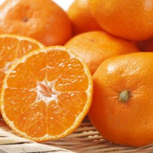 ふるさと納税 那智勝浦町 [秀品]和歌山有田みかん約9kg(2Lサイズ)｜Yahoo!ふるさと納税