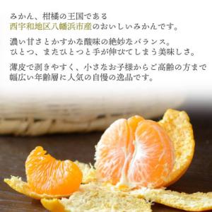 ふるさと納税 八幡浜市 小さいみかんを厳選!愛...の詳細画像1