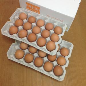 ふるさと納税 蓮田市 昔ながらの平飼いたまご　Mサイズ30個