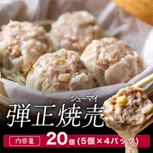 ふるさと納税 舞鶴市 【冷凍】弾正焼売(シューマイ) 20個