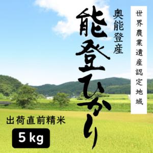 ふるさと納税 能登町 能登ひかり5kg【精米】