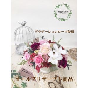 ふるさと納税 春日部市 プリザーブドフラワーアレンジ 【シェリ】 春日部市 シュガーパイン