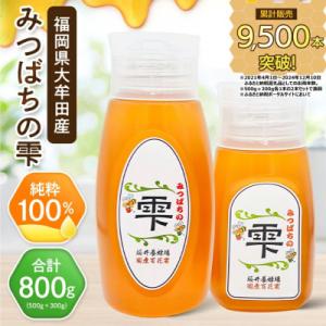 ふるさと納税 大牟田市 坂井養蜂場　みつばちの雫　500g+300g(合計800g)国産蜂蜜