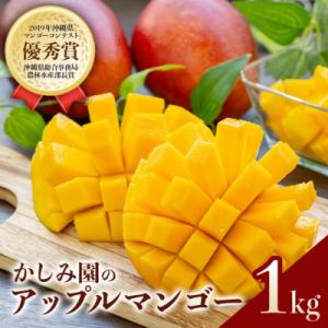ふるさと納税 糸満市 【2027年発送】沖縄から直送!かしみ園の「濃厚マンゴー」1kg
