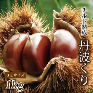 ふるさと納税 京丹波町 チルド熟成 丹波栗3L 1kg (京都京丹波町産 丹波栗)