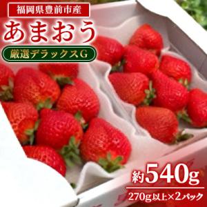 ふるさと納税 豊前市 2月以降発送  いちご厳選デラックスG【あまおう】福岡県豊前市産　約270g×2パック
