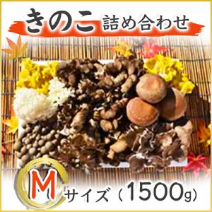 ふるさと納税 城里町 きのこの詰め合わせ　Mサイズ(1.500g)