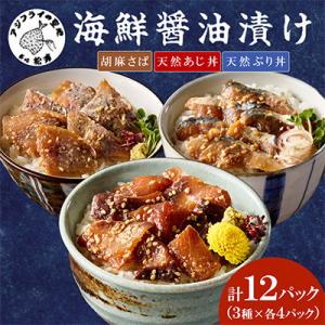 ふるさと納税 松浦市 【流水解凍だけの簡単調理】...の商品画像