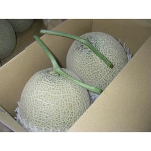 ふるさと納税 木曽岬町 木曽岬産マスクメロン ...の詳細画像2