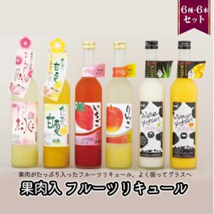ふるさと納税 佐世保市 果肉入りフルーツリキュール6種6本セット(各500ml)